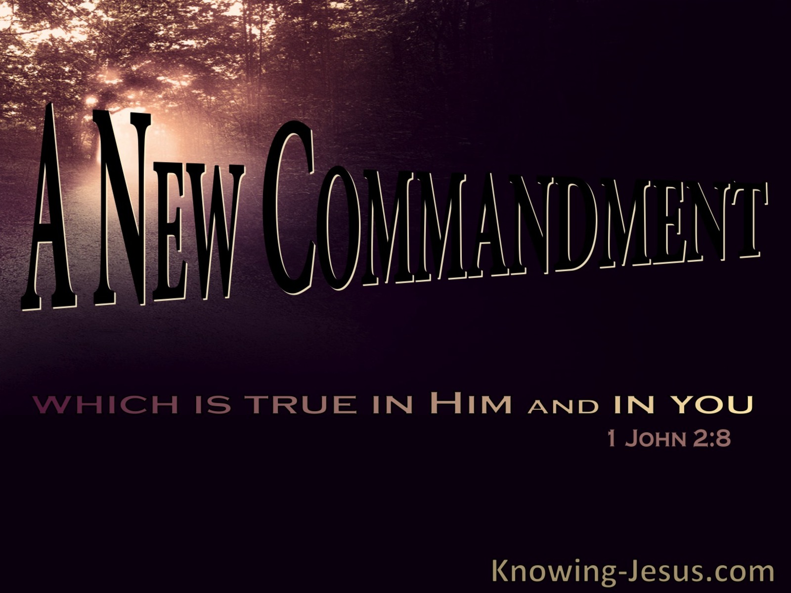 1 John 2:8 A New Commandment (black)